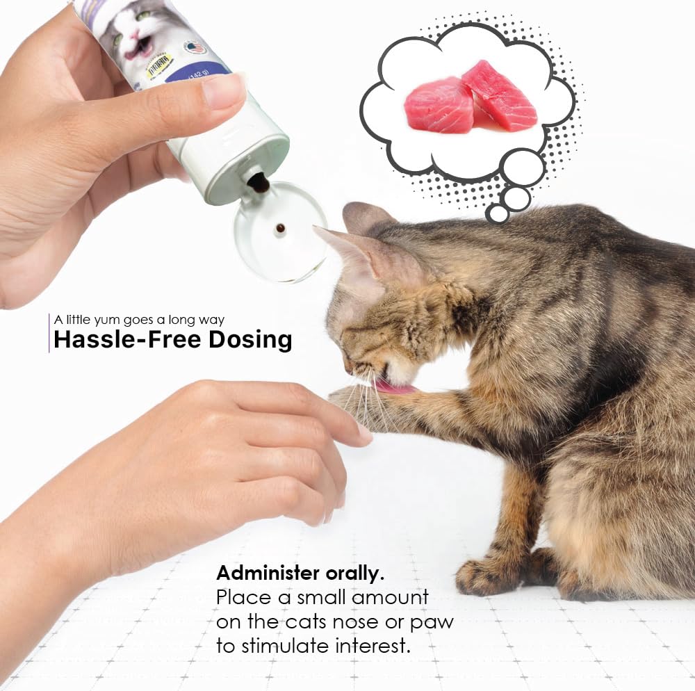 Cat Hairball Remedy Gel 5 oz J517398