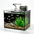 2.5 Gallon Aquarium Starter Kit with Light P961912
