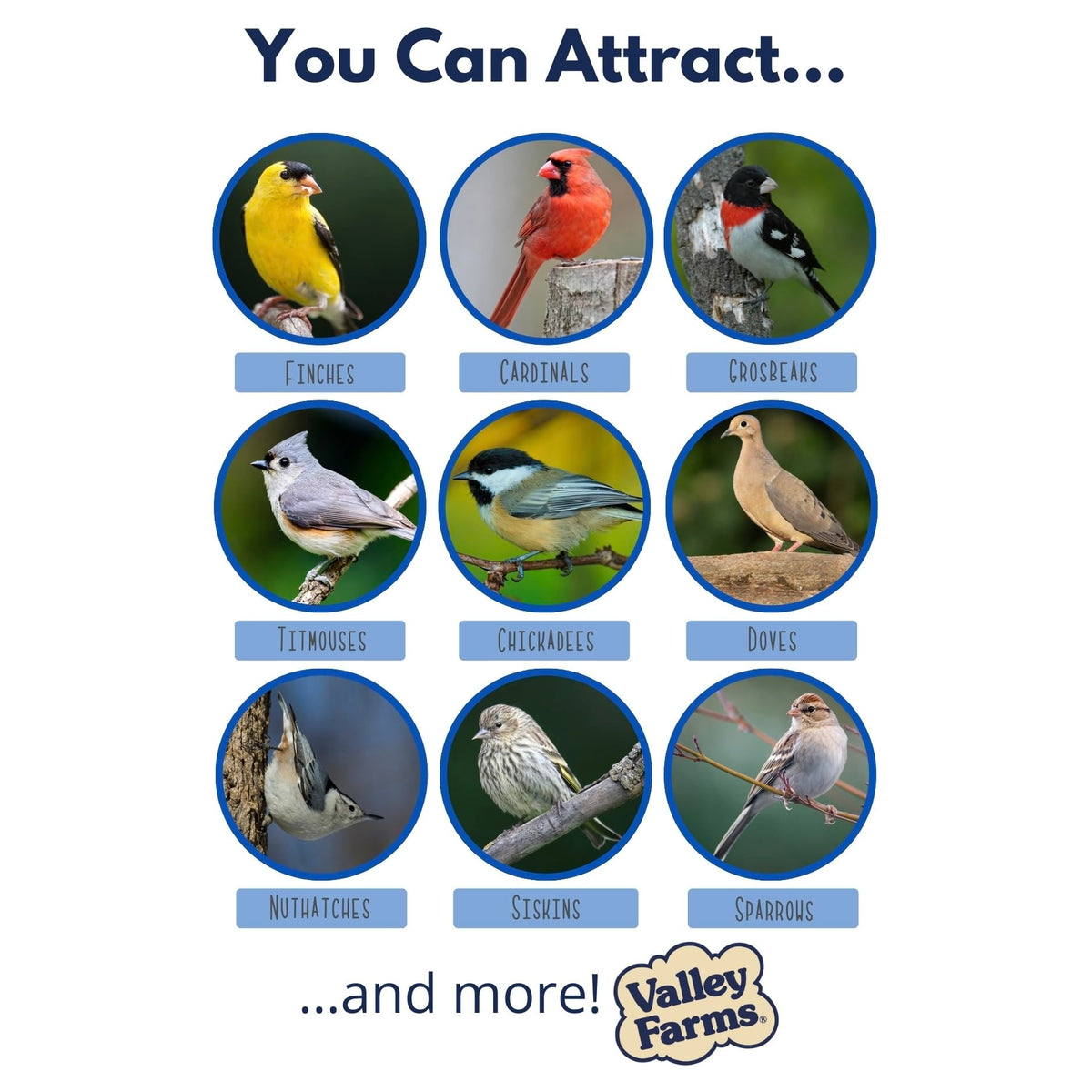 Wild Bird Food 20 LB M801
