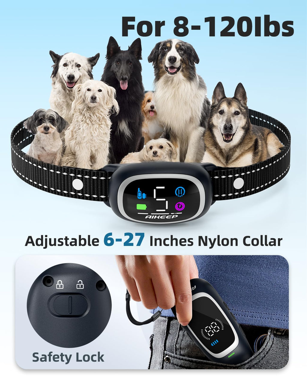 2-in-1 Dog Training Collar with Remote H6476
