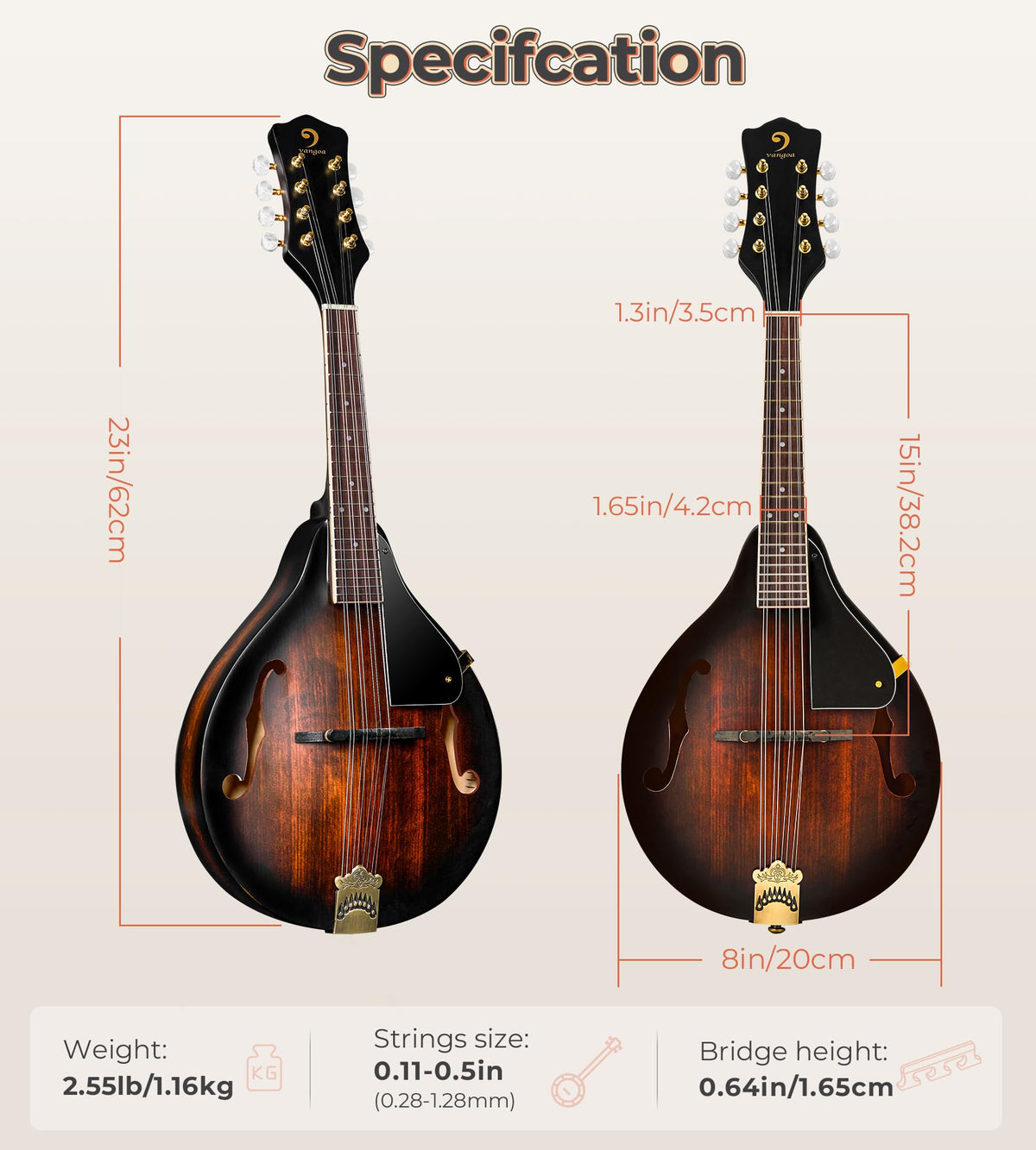 Acoustic Mandolin Instrument Solid Spruce Top 8 String Dark Brown G154
