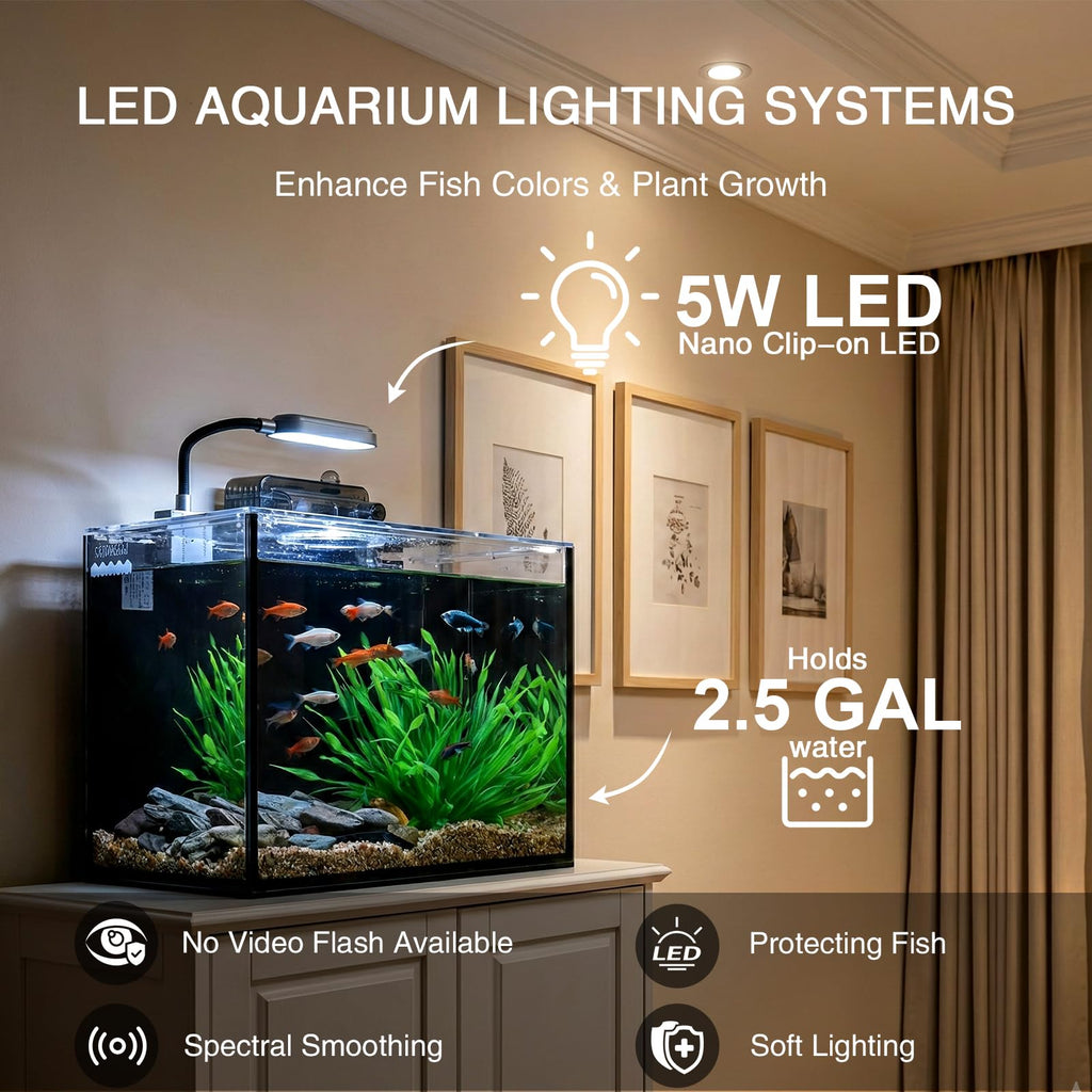 2.5 Gallon Aquarium Starter Kit with Light P961912