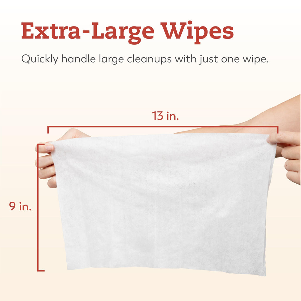 X-Large Briefs Multi-Pack + Wipes M31723