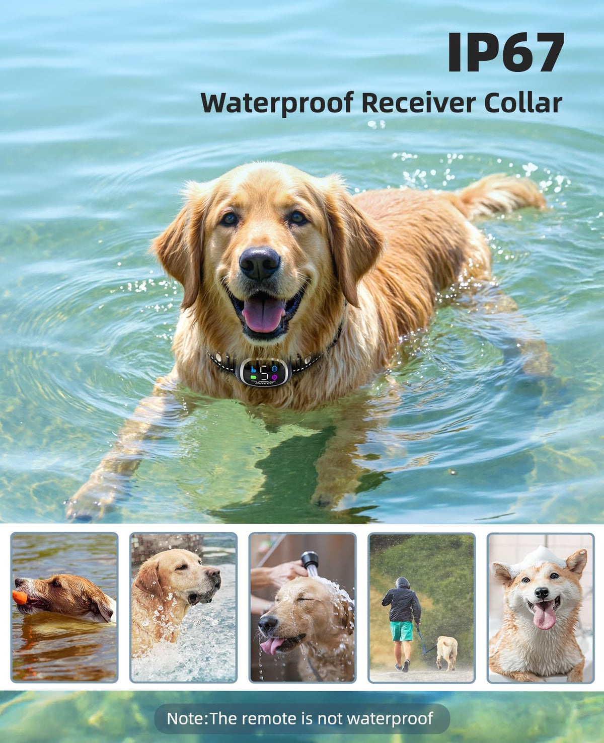 2-in-1 Dog Training Collar with Remote H6476