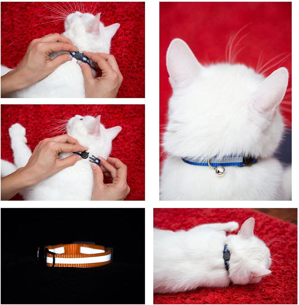 Reflective Nylon Cat Collar with Bell, Set of 6 C19545