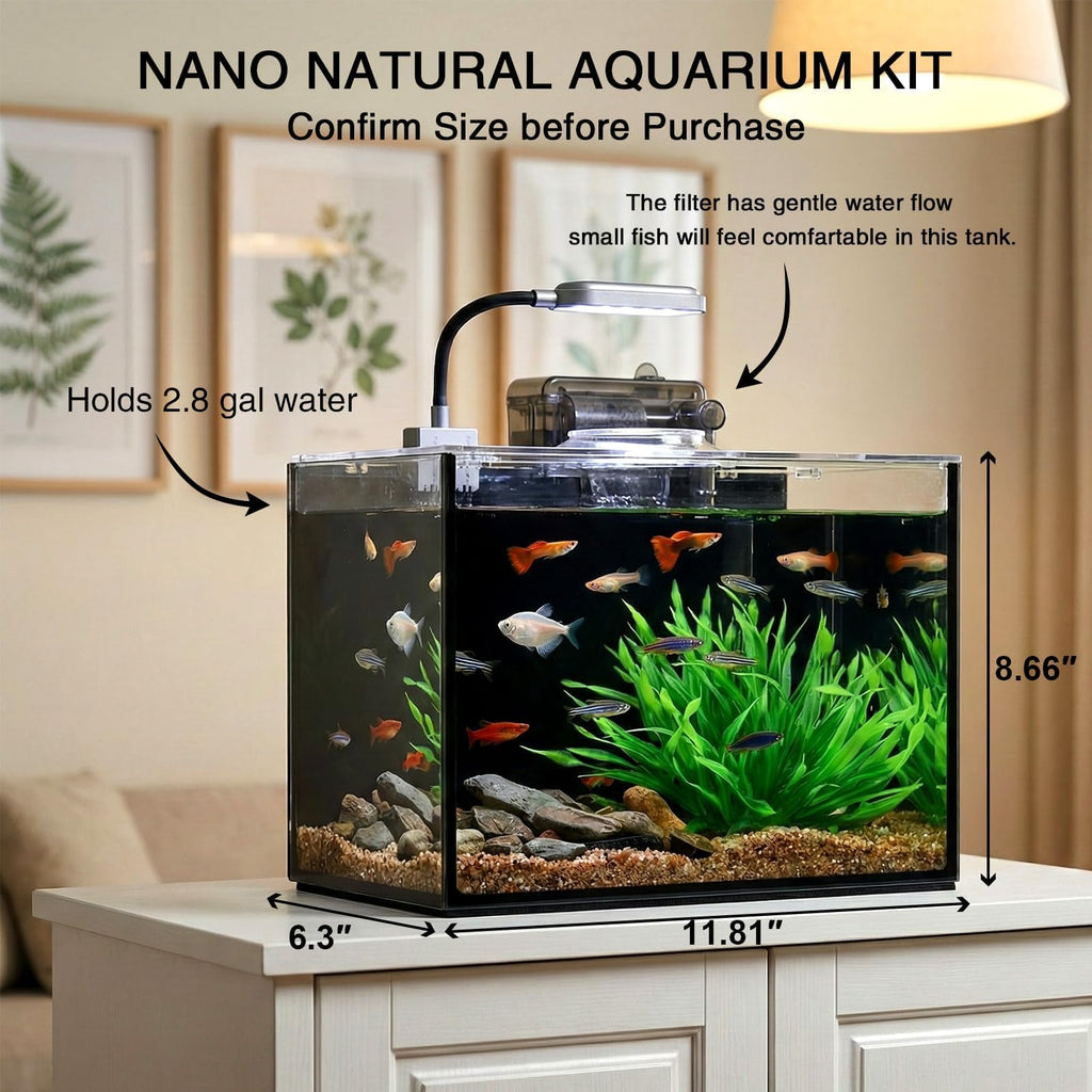 2.5 Gallon Aquarium Starter Kit with Light P961912