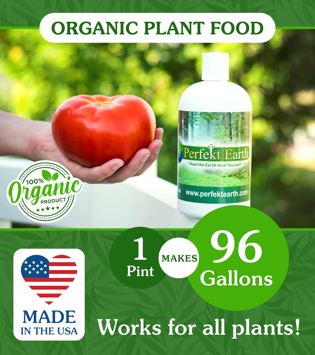 Organic Liquid Fertilizer 1 Pint Q766