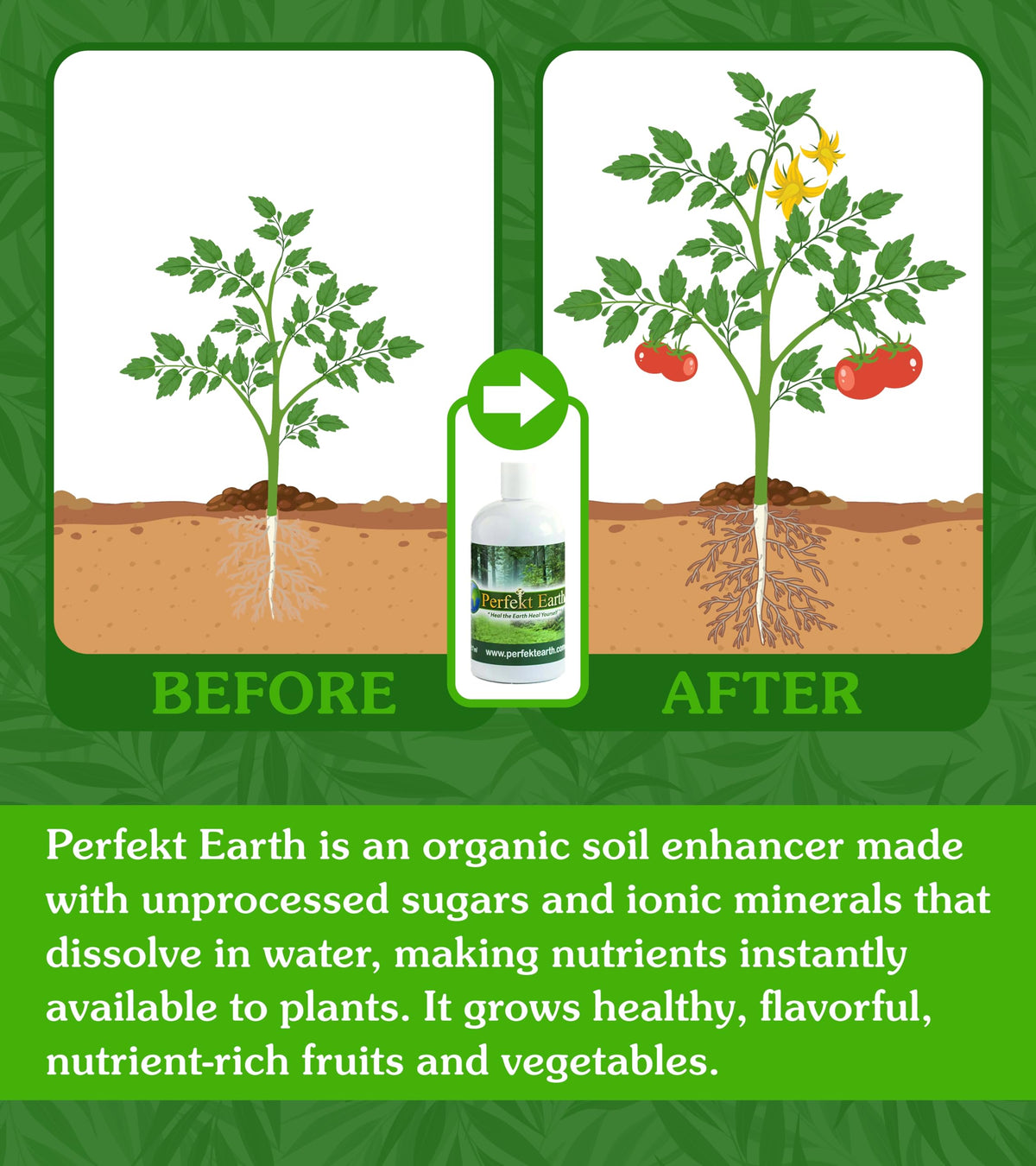 Organic Liquid Fertilizer 1 Pint Q766