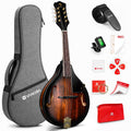 Acoustic Mandolin Instrument Solid Spruce Top 8 String Dark Brown G154