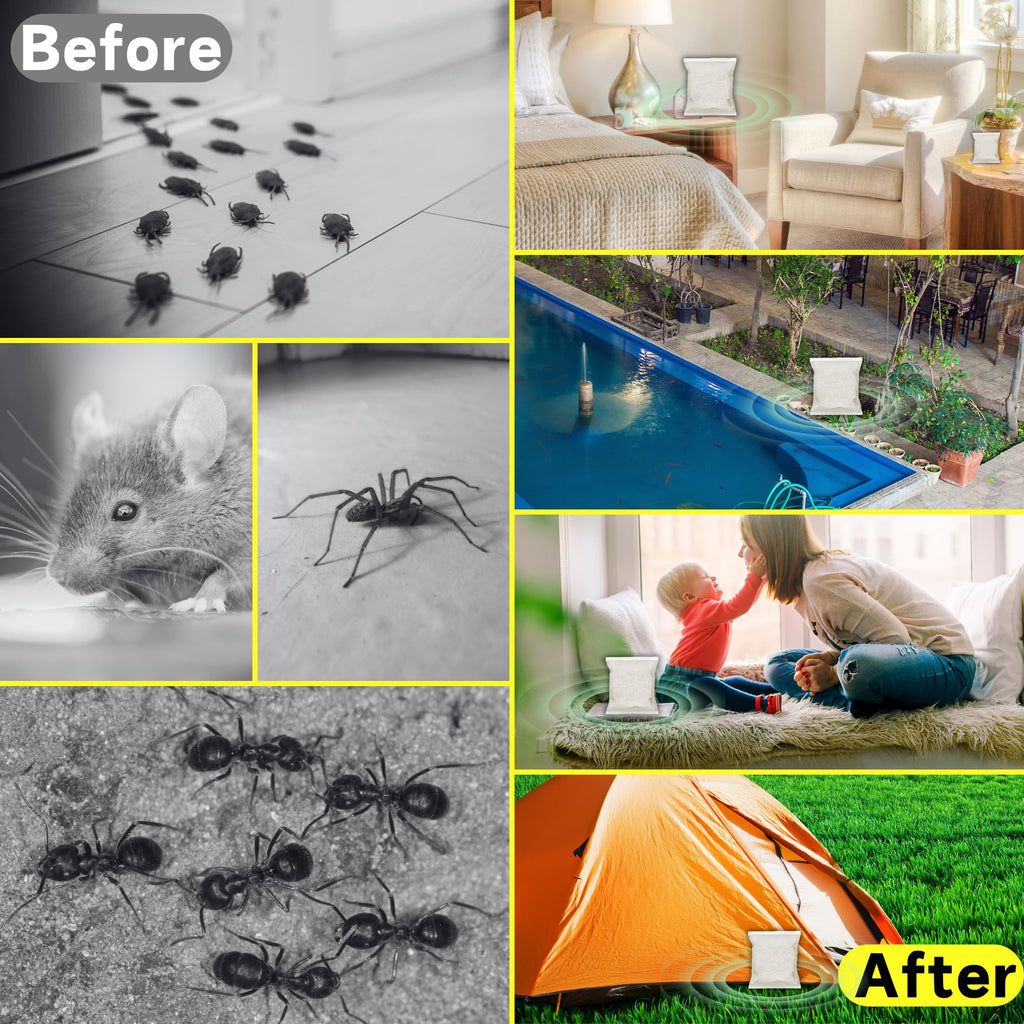 Natural Indoor Spider Repellent S15949
