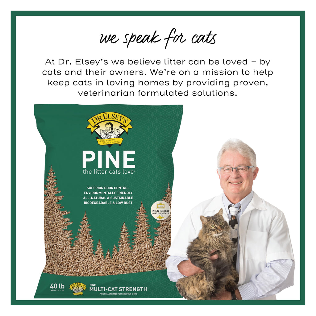 All-Natural Kiln-Dried Pine Cat Litter 40 lb. Bag B795159