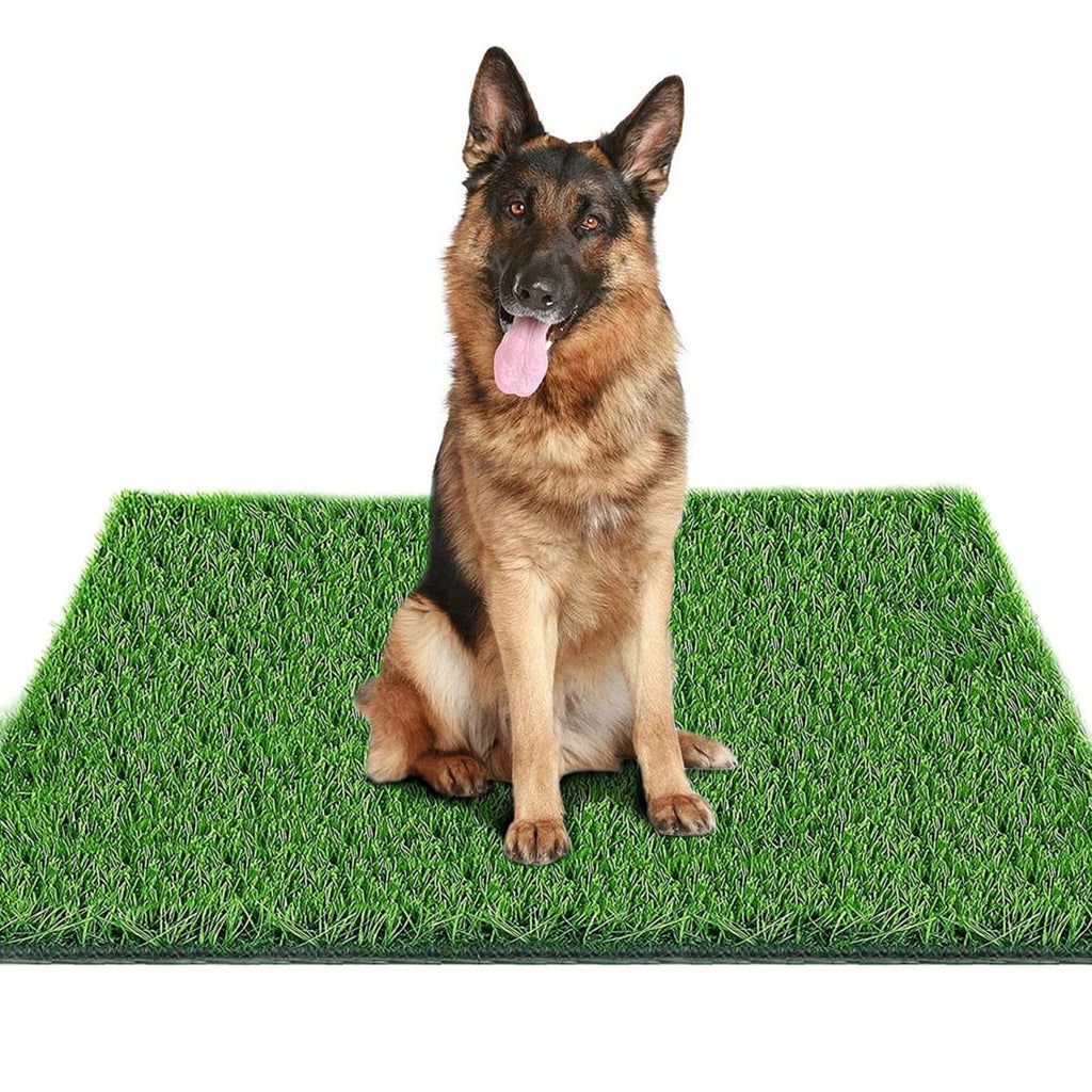 39.3 in X 31.5 in Reusable Artificial Grass Pad for Dogs J721