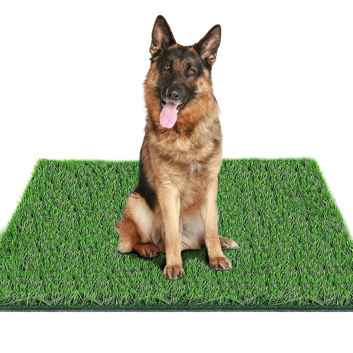 39.3 in X 31.5 in Reusable Artificial Grass Pad for Dogs J721