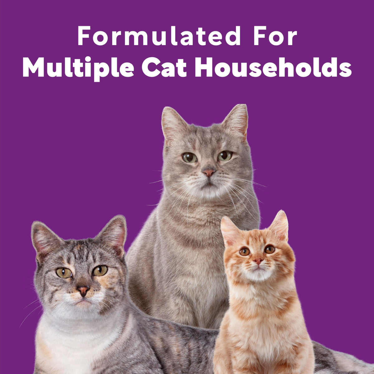 Multi Cat Clumping Cat Litter 18.5lb 2Pk I15919