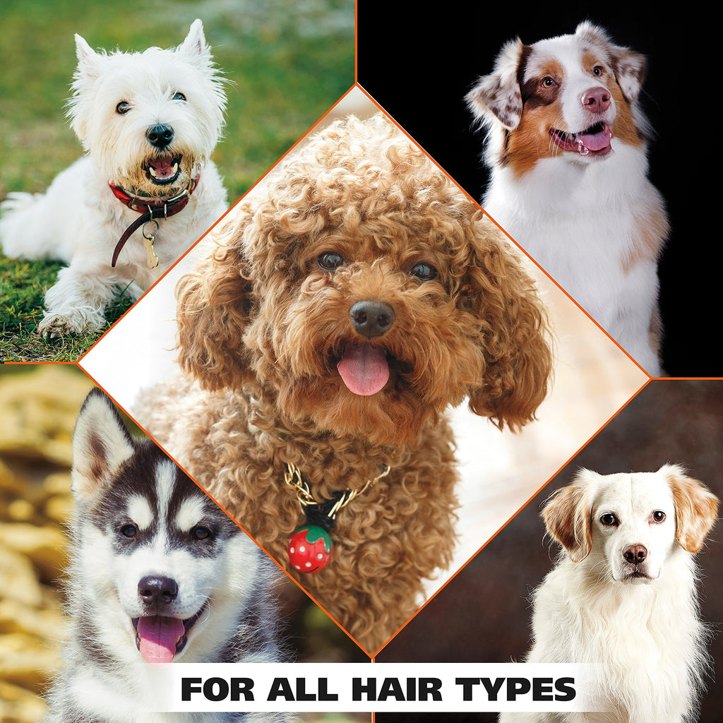 Oatmeal Formula Pet Shampoo 24 Oz G80056